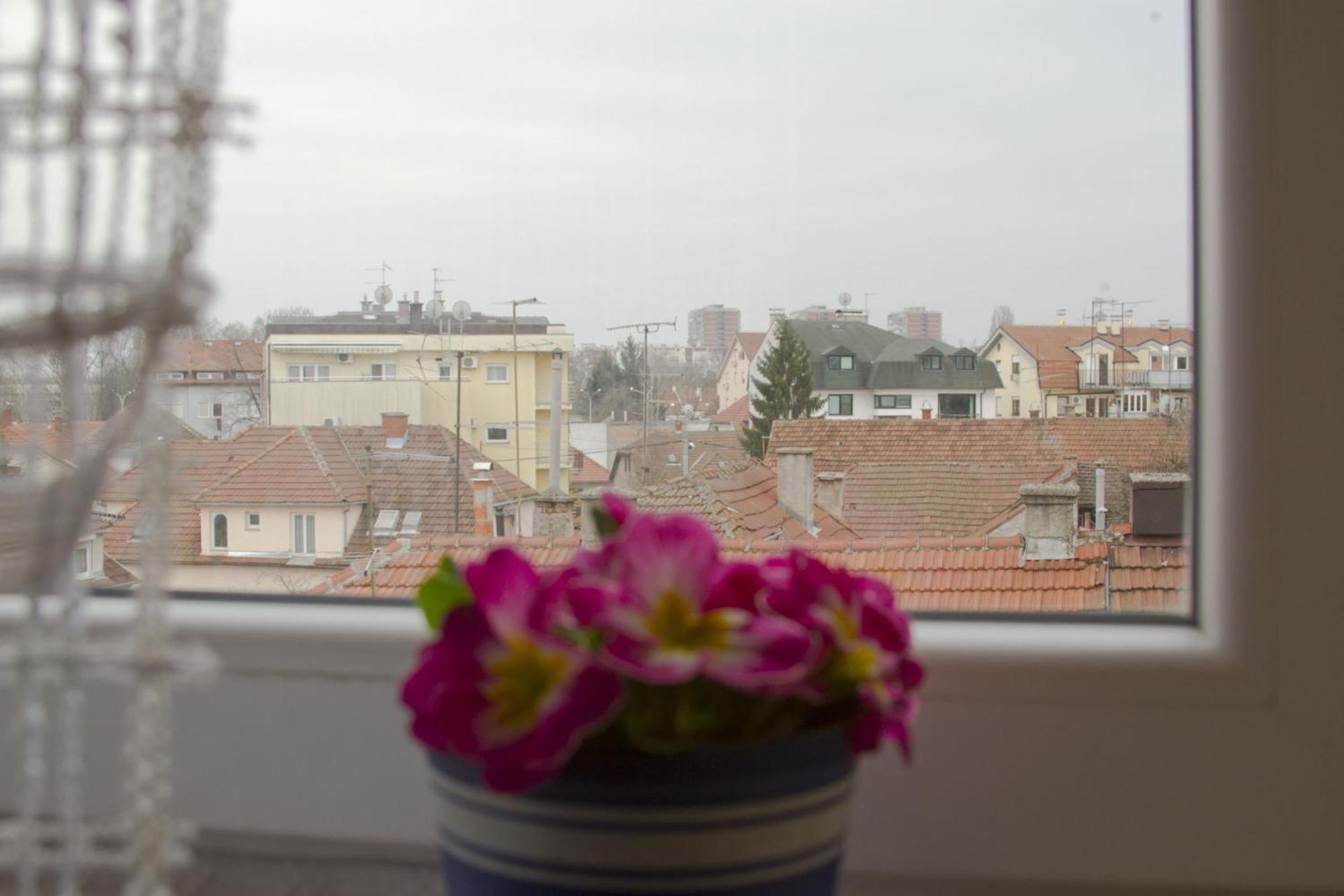 Apartmani Nighty Night Zagreb Værelse billede